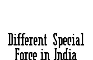 8 Different Special Force in India that will thrill you with pride Special Task Force of India