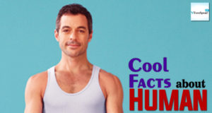 Some Cool facts about Human body that you must know Cool Fact about Human Body