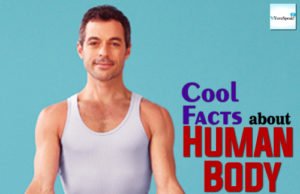 Some Cool facts about Human body that you must know Cool Fact about Human Body