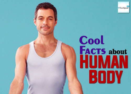 Some Cool facts about Human body that you must know Cool Fact about Human Body